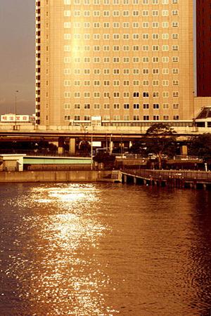 富山の不動産市場を徹底解剖！購入から売却、相続まで知っておくべきポイントガイド